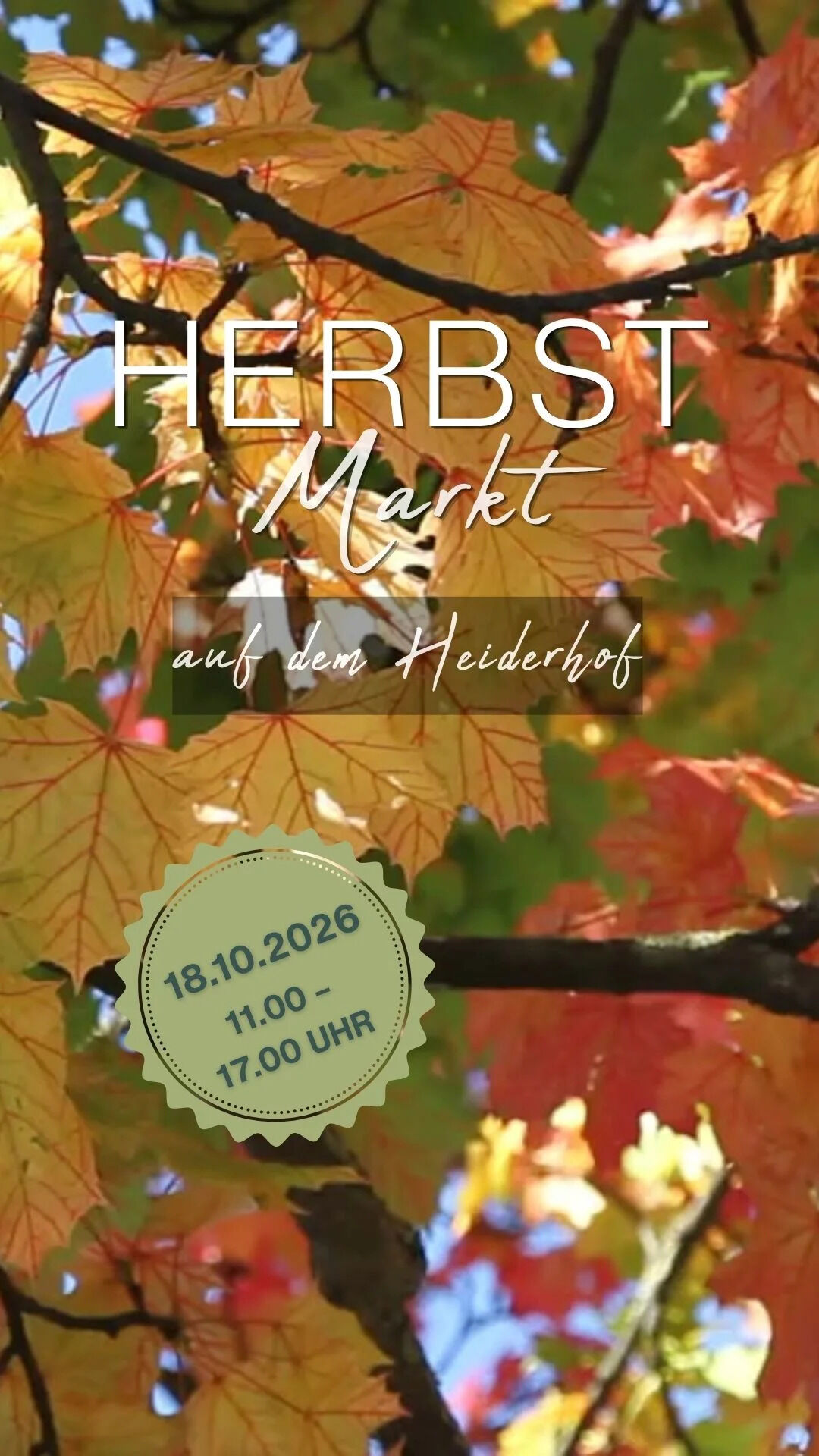 Herbstmarkt im Quartierszentrum Maria von Soden